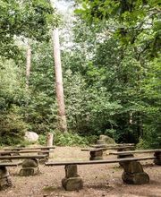 FriedWald Bremer Schweiz Bild 17