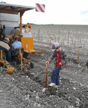 Cognac Michelet image 14