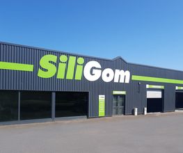 SILIGOM - AUTODRIVER image 1