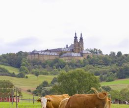 Herzoglich Bayerisches Forstgut Banz Bild 5