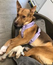 Pharmacie des Millésimes image 8