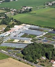 Pépinières de Corme Royal image 9