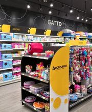 Arcaplanet immagine 1