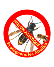 Maine Anti-Nuisibles image 4