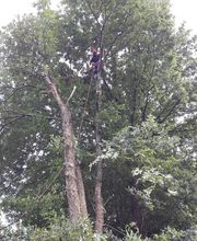 Naturelagage image 4