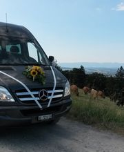 Gerber Busreisen GmbH, Midibus, Hochzeit, Gurten