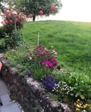 Gärtnerei Ziegler Samuel Bild 7