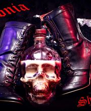 Rom Steam Photography & Flying Dress Nice image 4