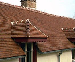Vaillant Couverture image 6