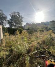 IMG_9478.jpeg