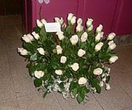 rosas-blancas-05.jpg