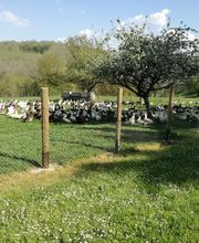 Domaine de Barbe image 9