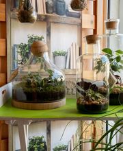 Fleuriste Vautcranne image 13