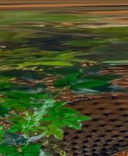 Wise Solution GmbH Bild 8