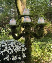 Wald-Zeremonien Bild 3