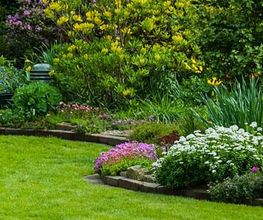 Braun Gartenbau AG Bild 1