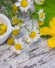 Pharmacie du Grand-Lancy Bild 5