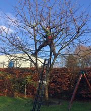 WhatsApp Bild 2023-12-20 um 13.35.40_a3cc06c7.jpg