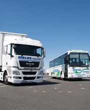 CFP Malus 18 image 5