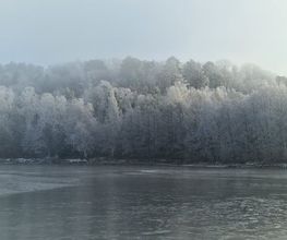 Ferienhaus Mainz am Silbersee Bild 14