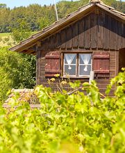 Besenwirtschaft Fasshotel Bild 4