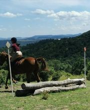 Ecole D'Equitation De Chazeron image 2
