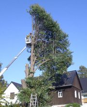 Die Helfende Hand GmbH und Co.KG Bild 1