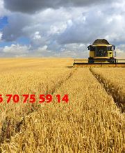 SARL ETA DUBOIS image 1