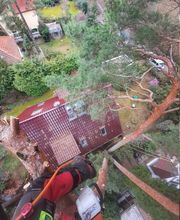 Baummüller Baum u. Gartenspezialist Bild 3