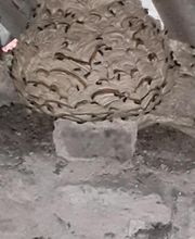 Lefevre Sébastien E.I image 8