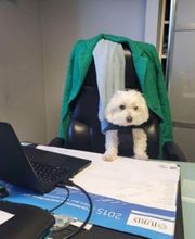 Vos Immobilières image 5