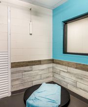 Pet Paradise Pooler image 9