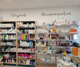 236064309-1-tkvTjJei8P1726131880918.jpeg