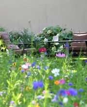 Kaiser Gartenbau GmbH Bild 14