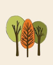 LOUBIERE DOMINIQUE image 11