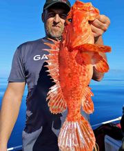 Enigma Charter Mallorca - Fishing & Boat Trips imagen 6