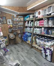 AmaitaVet Clínica Veterinaria imagen 19