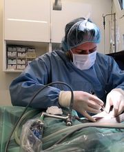 Centro Veterinario Preluna Bild 2