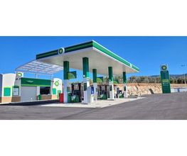 bp imagen 4