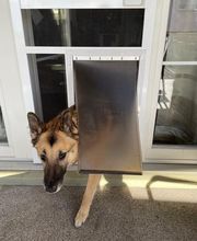 Olli's Sonnenschutz GmbH Bild 7