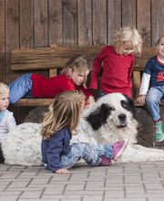 Kinderbauernhof Wigger Bild 22