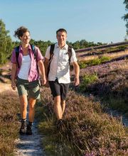 Lüneburger Heide