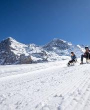Jungfrau Ski Region - Kleine Scheidegg - Männlichen - Wengen Bild 1