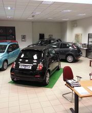 Gallery Cliente