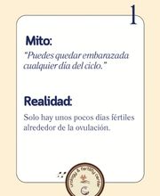 307264275-1-kes8bWd0Y81754476453909.jpeg
