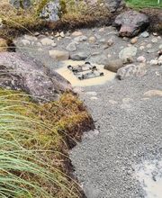 BRÜHWILER-GARTENBAU, BAUMPFLEGE Bild 6