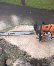 Arbres Verts Outters Outters Xavier image 1