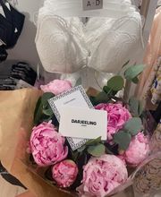 Darjeeling Montélimar image 1