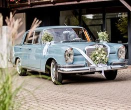 Blumen Ball GmbH Bild 1