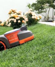 Wolf AG  Spiez Bild 6